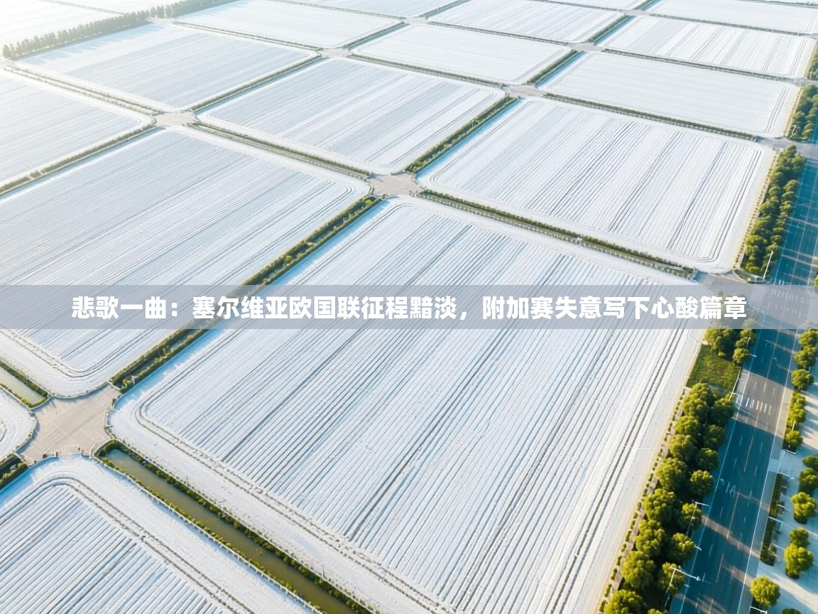 悲歌一曲:塞尔维亚欧国联征程黯淡,附加赛失意写下心酸篇章 第1张