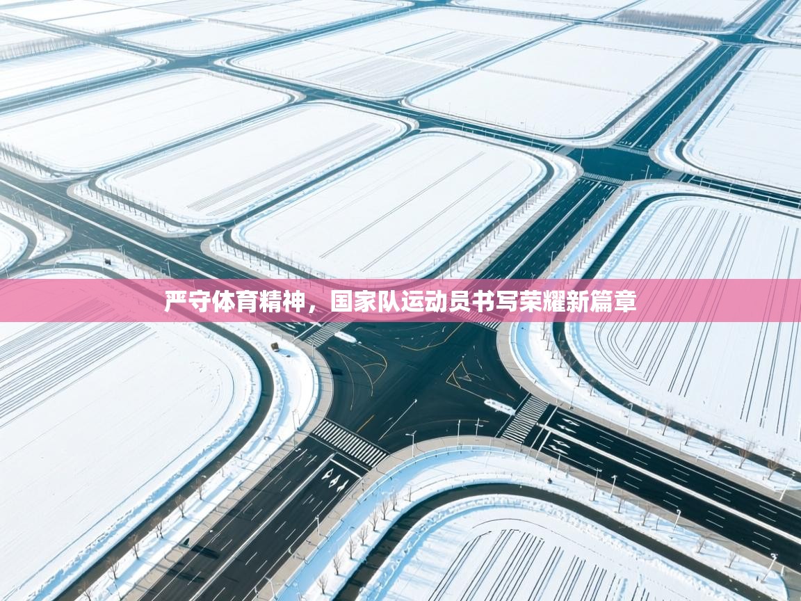 严守体育精神,国家队运动员书写荣耀新篇章 第2张