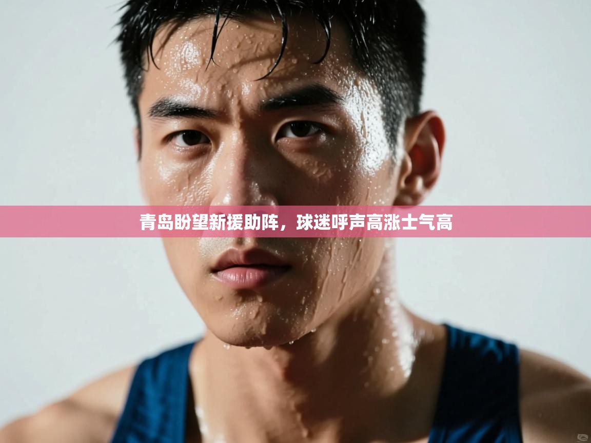 青岛盼望新援助阵，球迷呼声高涨士气高  第2张